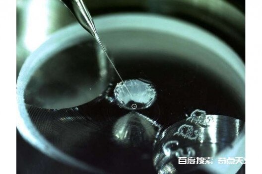 小行星尘埃如何帮助证明生命的原始成分可以在外太空进化 陈恺珊博士 小行星尘埃如何帮助证明生命的原始成分可以在外太空进化