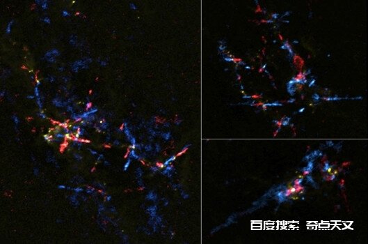 在银河系中心发现婴儿恒星的诞生地 Bob Berman 在银河系中心发现婴儿恒星的诞生地