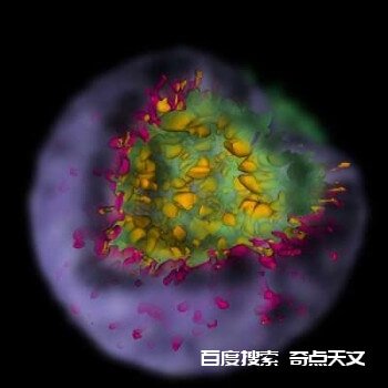 超新星模拟揭开恒星爆炸如何形成碎片云 Bob Berman 超新星模拟揭开恒星爆炸如何形成碎片云