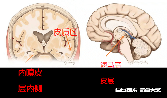 【APC科普】记忆中的时空轨迹---A君强推 小A君科普 【APC科普】记忆中的时空轨迹---A君强推