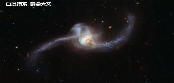 风味天文:夜空中的鸟园 风味天文:夜空中的鸟园