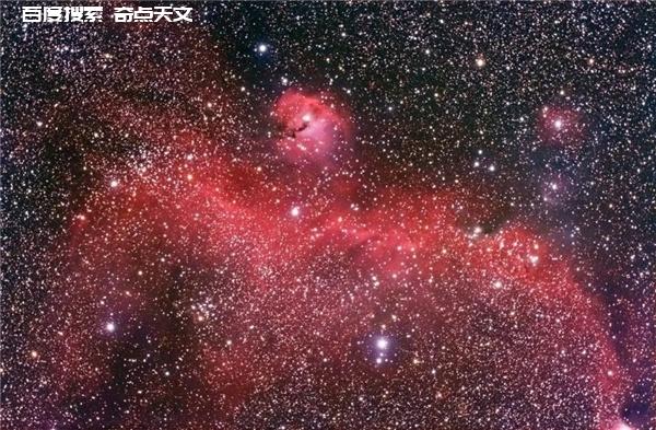 风味天文:夜空中的鸟园 风味天文:夜空中的鸟园