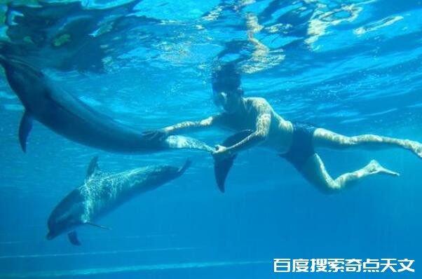 全球十大危险潜水地 伯利兹蓝洞第一,第七被称为“死 好多人都叫刘达达 全球十大危险潜水地 伯利兹蓝洞第一,第七被称为“死
