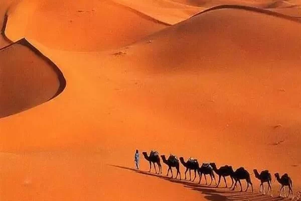 世界十大沙漠面积:戈壁沙漠排名第5 第1形成于250万年
