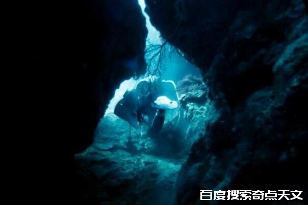 全球十大危险潜水地 伯利兹蓝洞第一,第七被称为“死 好多人都叫刘达达 全球十大危险潜水地 伯利兹蓝洞第一,第七被称为“死