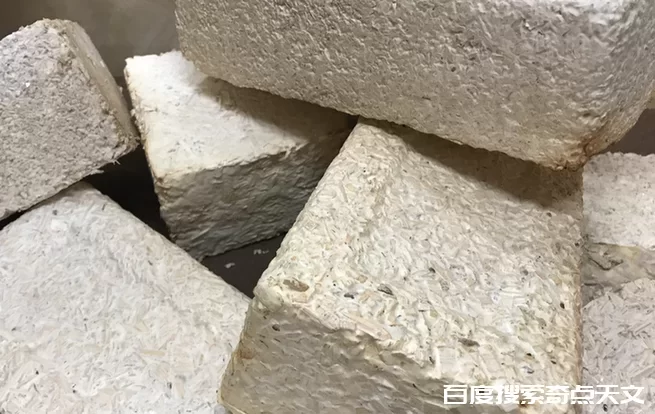 火星上,狂野的宇航屋,可能有真菌? 零度星系 火星上,狂野的宇航屋,可能有真菌?