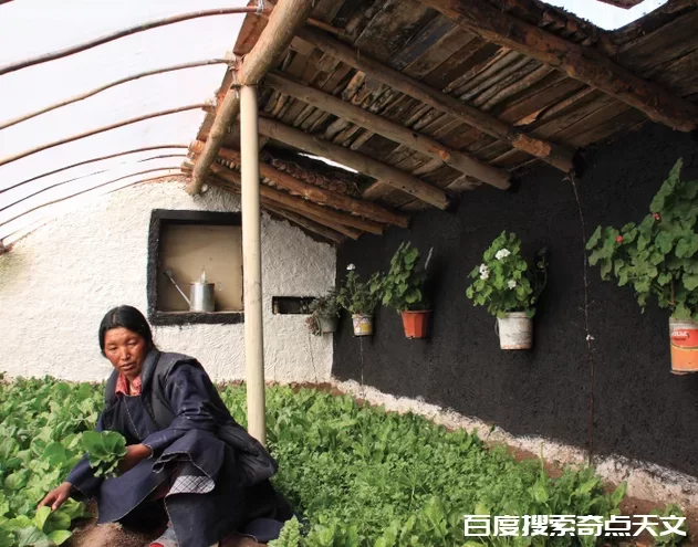 人类粮食危机如何解决?太空种植或可实现?是否属实? 零度星系 人类粮食危机如何解决?太空种植或可实现?是否属实?