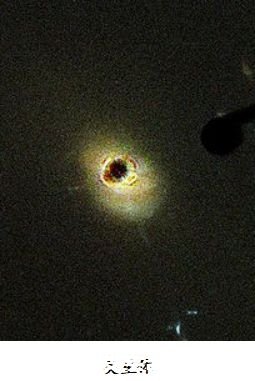《走向和谐》第一部分“共生宇宙”(1)