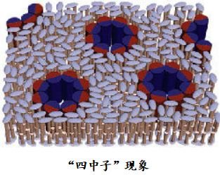 《走向和谐》第一部分“共生宇宙”(1)