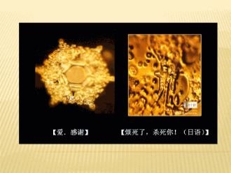 《走向和谐》第一部分“共生宇宙”(2)