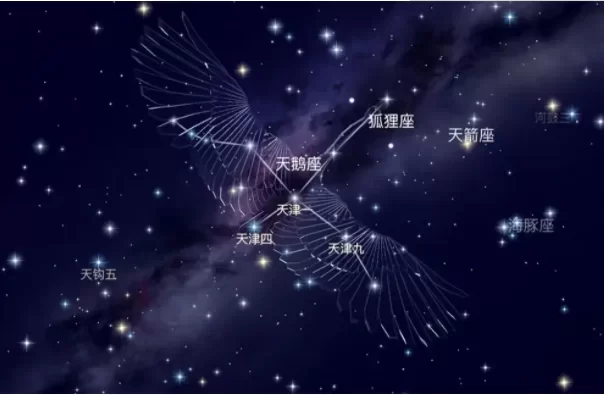 宇宙中体积最大的星球十大排名,第一盾牌座UY,仙女座 小强 宇宙中体积最大的星球十大排名,第一盾牌座UY,仙女座