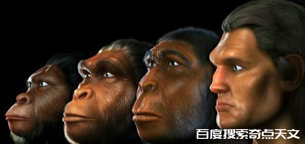 生命(九)人类的起源与进化 Bob Berman 生命(九)人类的起源与进化