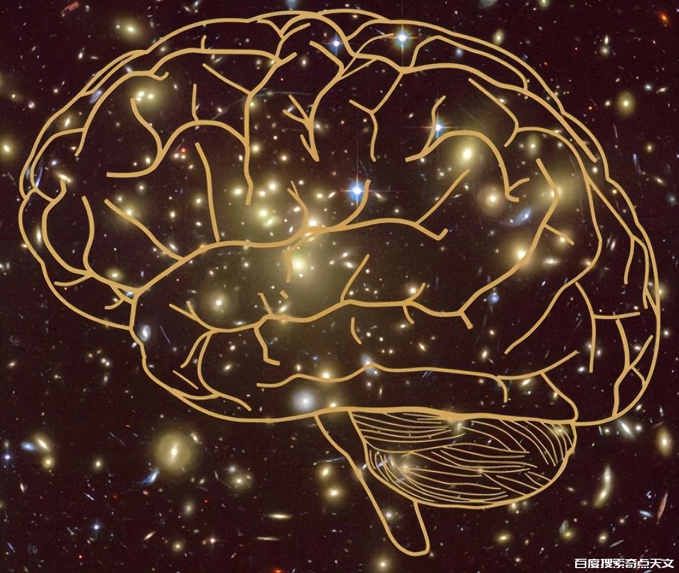 宇宙的布局和人脑神经高度相似,我们有没有可能就活在宇宙高维生物的大脑里吗? 天文之家 宇宙的布局和人脑神经高度相似,我们有没有可能就活在宇宙高维生物的大脑里吗?
