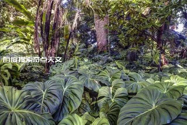 神秘的外星怪异生物,令科学家都头疼的亚马逊河究竟有多恐怖? 追星的女孩 神秘的外星怪异生物,令科学家都头疼的亚马逊河究竟有多恐怖?