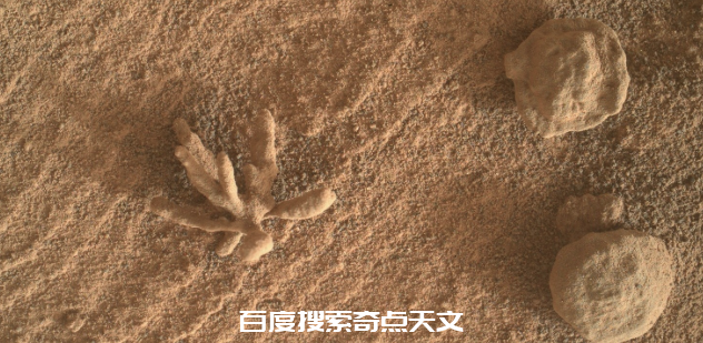 火星生命或许已在多年前被杀死