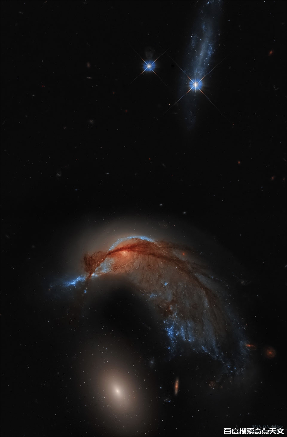Arp 142:蜂鸟星系 Arp 142:蜂鸟星系