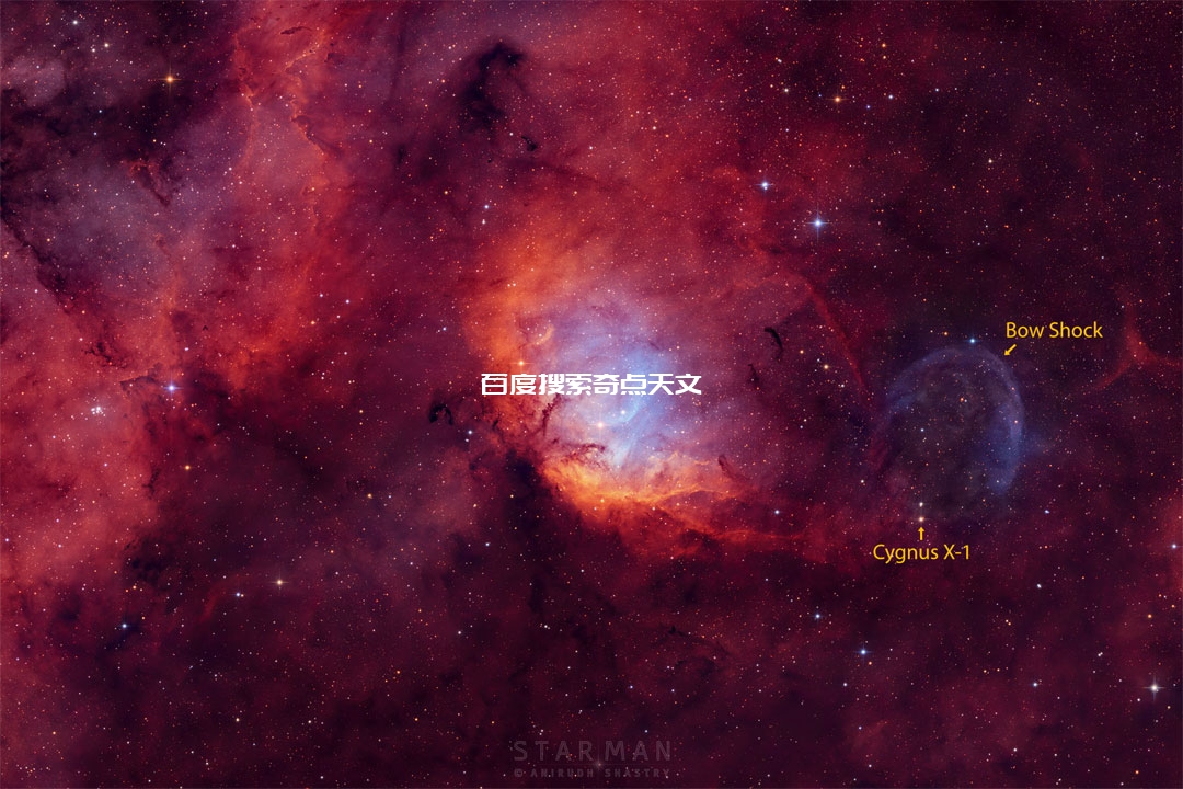 郁金香星云与黑洞天鹅X-1 郁金香星云与黑洞天鹅X-1