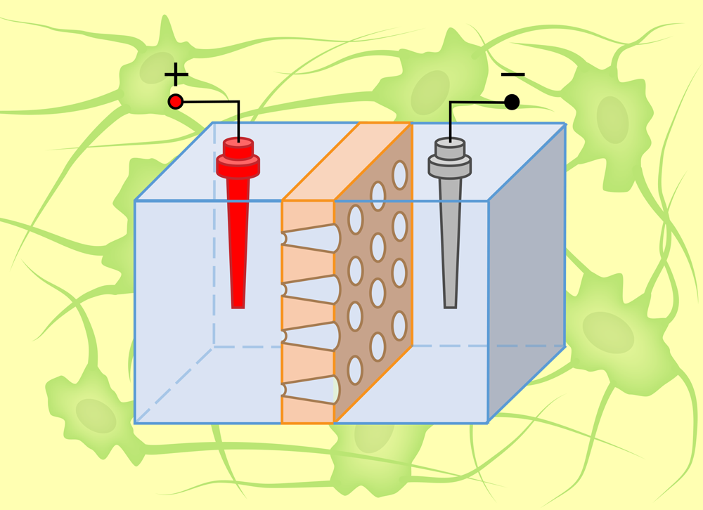 离子电子电路：在盐水中构建智能的配图