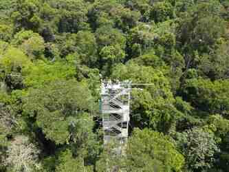 欧空局调查亚马逊地区高风险的临界状态 | 奇点天文的配图