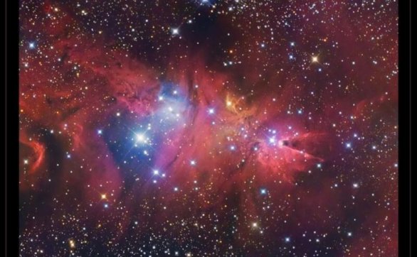 磁场强度最大的恒星是什么星