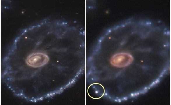 玉夫座车轮星系距地球5亿光年超新星爆发“SN2021afdx”