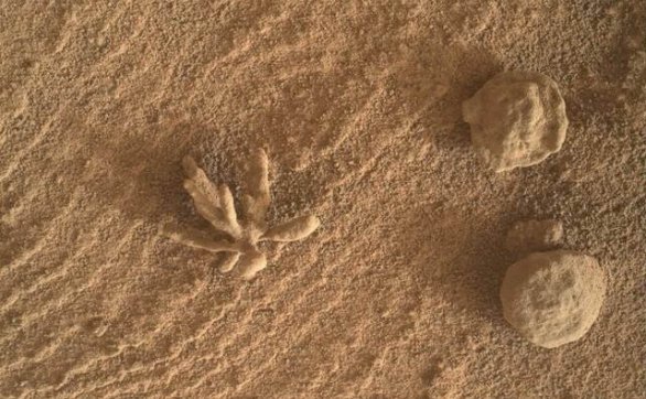 好奇号探在火星表面拍摄看到似小花的奇特构造 被称为成岩晶簇